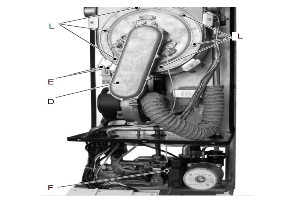 Troubleshooting Manual Biasi Boiler Guide